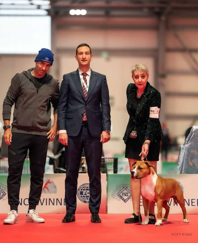IDS Alleanza Latina