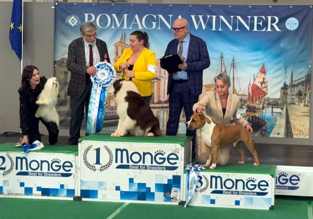 IDS Rimini 2025