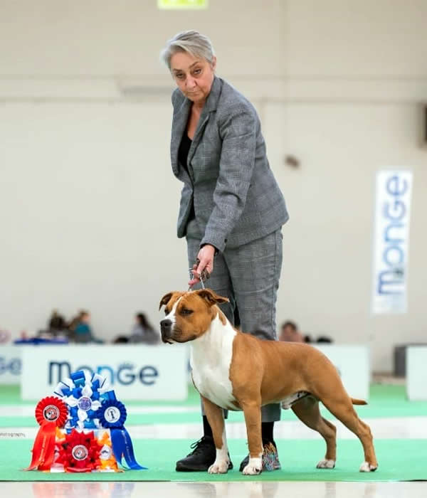 IDS Forlì 2025