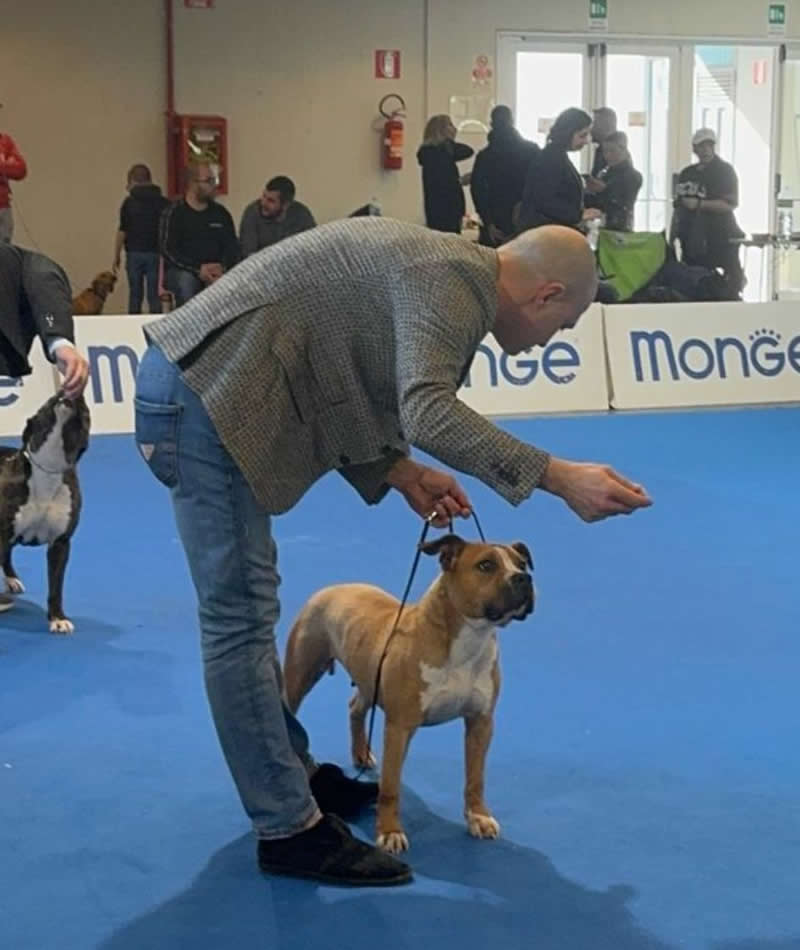 IDS Nuoro 2025